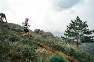 BIB: 
                            <button type="button" onclick="openModal(26017210)" class="btn btn-primary btn-sm float-right btn-popup" data-toggle="modal" data-target=".modal-high-quality">
                        <i class="fas fa-shopping-cart"></i> Add to Cart
                    </button>
                                            <button type="button" onclick="isThisMe(26017210, true)" class="btn btn-success btn-sm float-right btn-popup btn-isme hidden" data-toggle="tooltip" data-placement="bottom" title="นี่คือรูปของคุณใช่ไหม คลิกที่นี่เพื่อเอาเข้าอัลบั้ม">
                        <i class="fas fa-plus"></i> Add to album
                    </button>
                    <button type="button" onclick="isThisMe(26017210, false)" class="btn btn-warning btn-sm float-right btn-popup btn-isnotme hidden">
                        <i class="fas fa-ban"></i> Remove from album
                    </button>